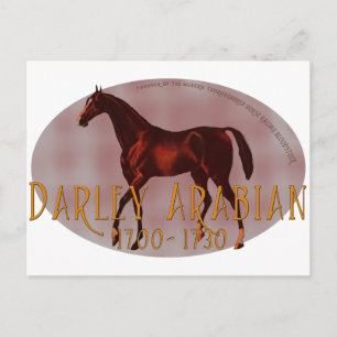 Darley Arabian Vykort