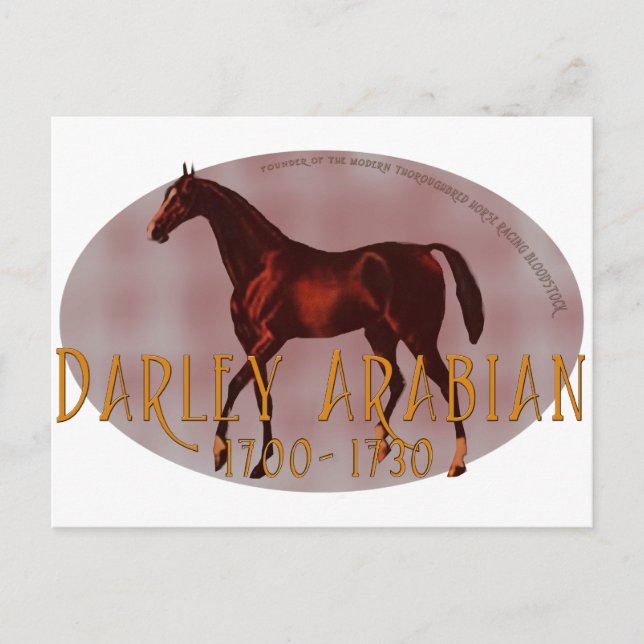 Darley Arabian Vykort (Framsida)