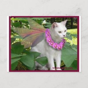 Darling Fairy Cat vykort