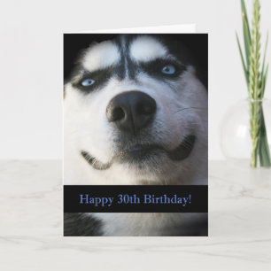 Darling Smiling Husky Funny 30års födelsedag Card Kort