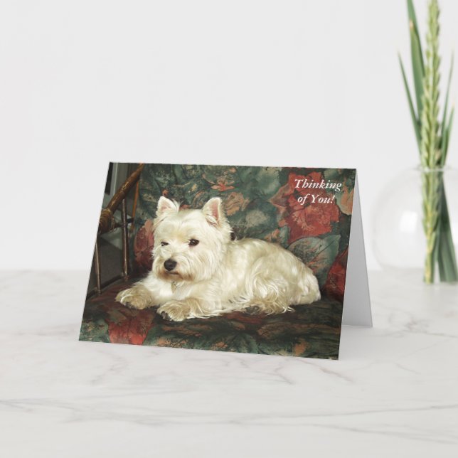 Darling Väster Highland Terrier Thinking Card Kort (Framsida)