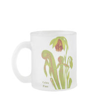 Darlingtoniacalifornica, Carnivorous växt