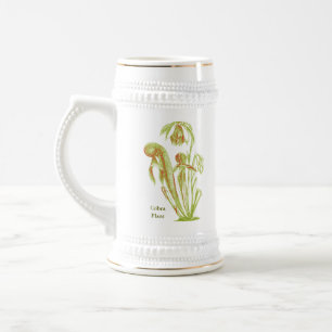 Darlingtoniacalifornica, Carnivorous växt Sejdel