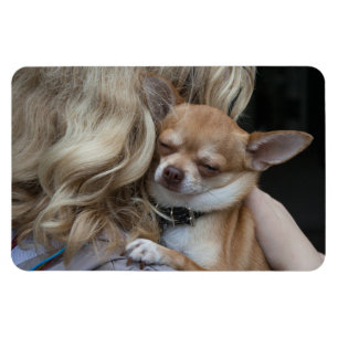 Darly Beloved Magnet