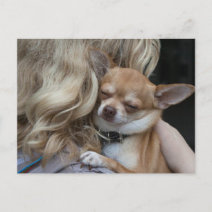 Darly Beloved Vykort