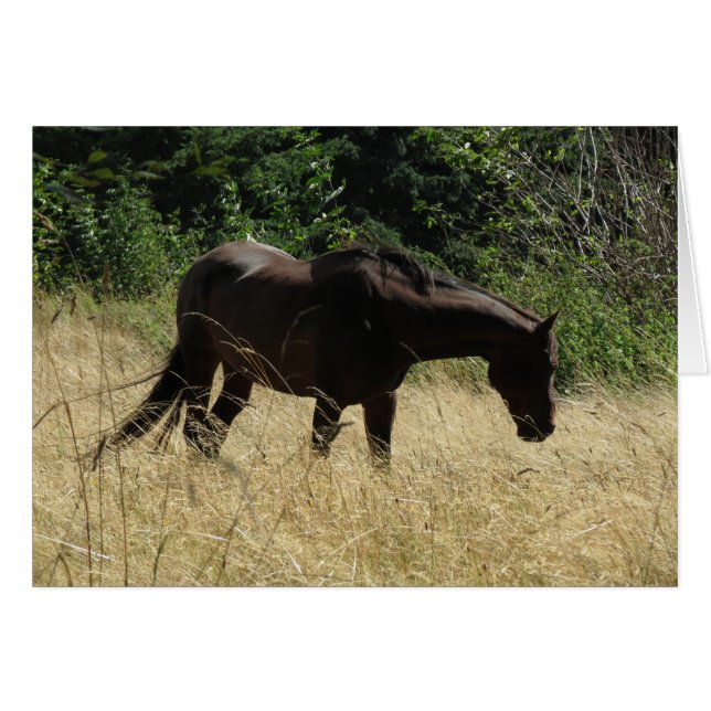 Darma meditation hälsningskort (Framsidan Horizontal)