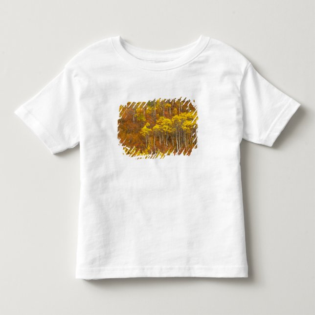 Darrande aspdunge i höstfärger sommaren 2 t-shirt (Framsida)