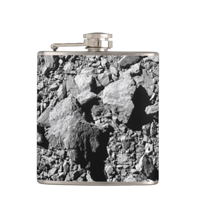 DART Dimorphos Asteroid Moonlet Yta Fickplunta (Framsidan)