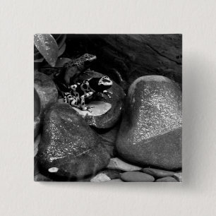 Dart Frog Friends B+W Knapp