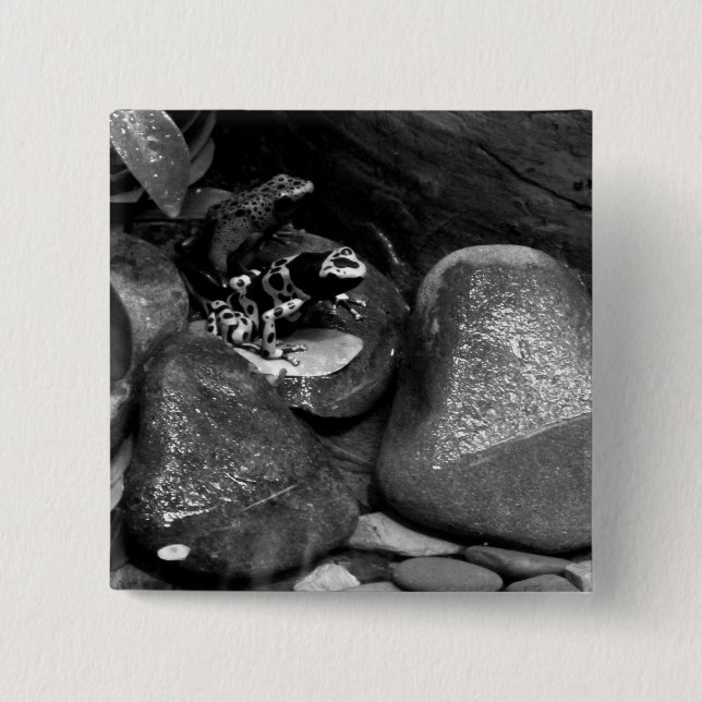 Dart Frog Friends B+W Knapp (Framsida)