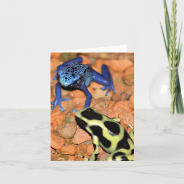 Dart Frogs-anteckningskort Kort (Framsida)