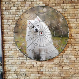 Dartboard för anpassningsbar Photo Personlig Darttavla