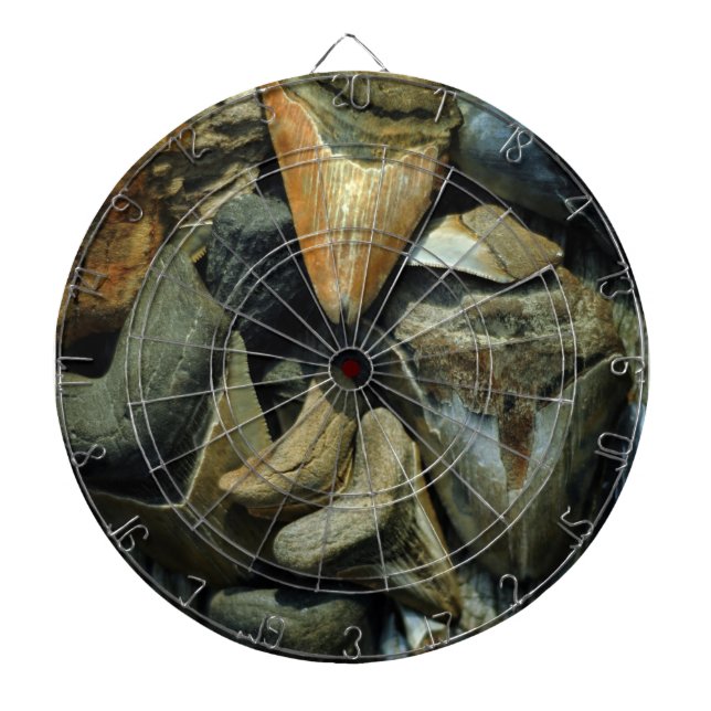 Dartboard för Megalodon fossil- hajtänder Darttavla (Framsidan)