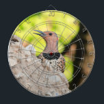 Dartboard med bild i en nordlig flimmer darttavla<br><div class="desc">Den här ritytan har en bild av en nordlig flimmer på den. Jag sköt den här vackra träsket i Nottingham,  Maryland.</div>