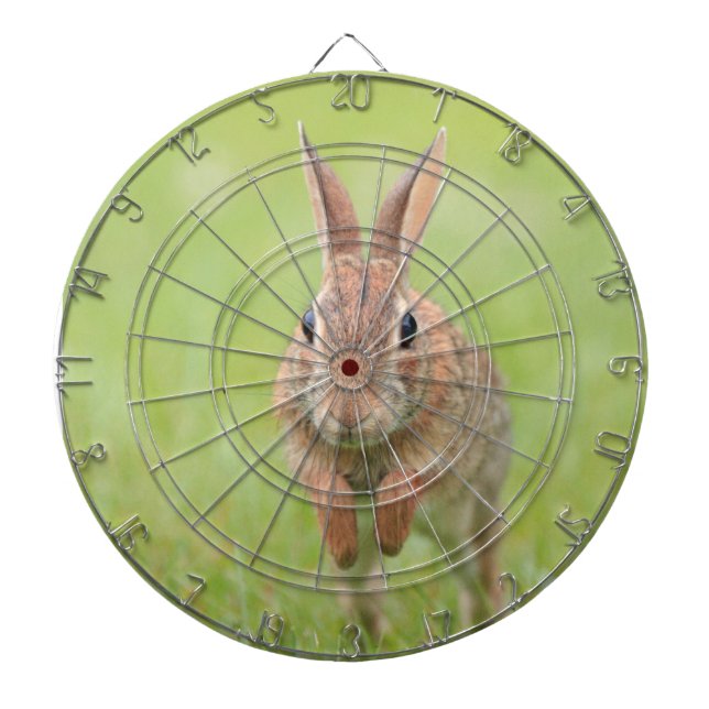 Dartboard med hoppande kanin bild darttavla (Framsidan)