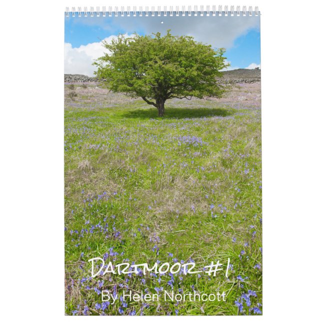 Dartmoor Calendar #1 (medium A3) Kalender (Omslag)