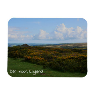 Dartmoor England Magnet