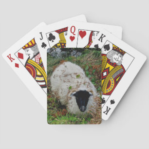 Dartmoor får i nederlag casinokort