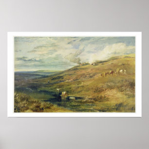 Dartmoor: Källan av Tamaren och Torridgen Poster