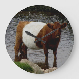 Dartmoor köt den stå floden för den Galloway ko Stor Klocka