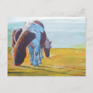 Dartmoor Ponies & Misty Ligcape-målning Vykort