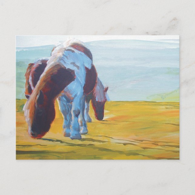 Dartmoor Ponies & Misty Ligcape-målning Vykort (Framsida)