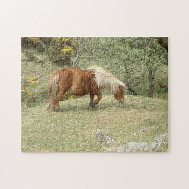 Dartmoor Ponny, Vild English Horses /Britain Pussel (Horisontell)