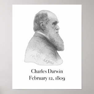 Darwin affisch