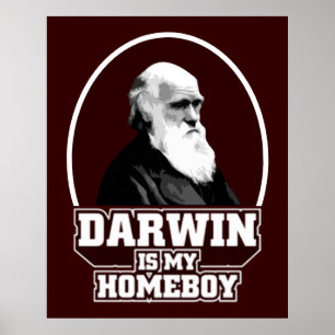 Darwin är min Homeboy Poster
