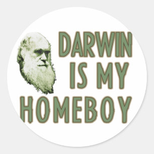 Darwin är min homeboy runt klistermärke
