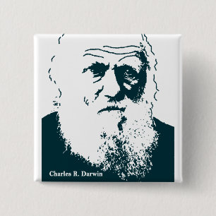 Darwin bild. Knäppas Knapp