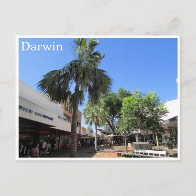 Darwin Center Vykort (Framsida)