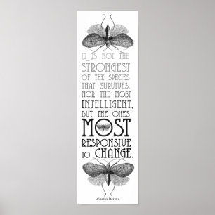 Darwin citationsteckenevolution poster