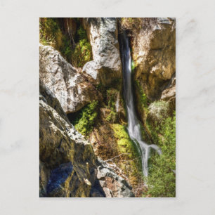 Darwin Falls Vykort