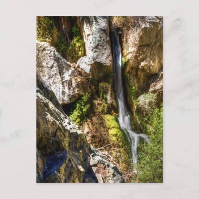 Darwin Falls Vykort (Framsida)