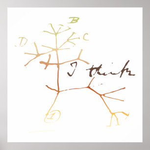 Darwin, jag tänka livets träd poster