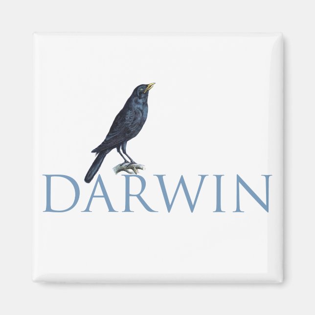 Darwin Magnet (Framsidan)