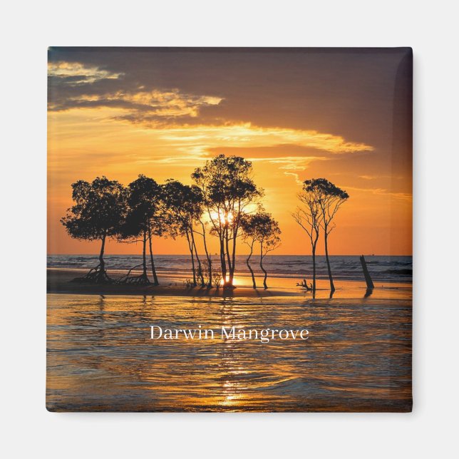 Darwin mangrove, Australien Magnet (Framsidan)