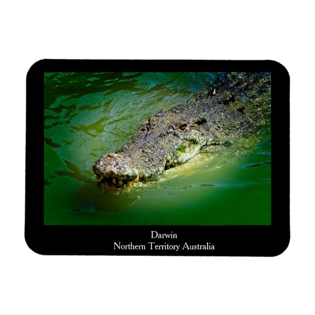 Darwin Northern Territory - Crokodile Magnet (Horisontell)