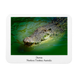 Darwin Northern Territory - Crokodile Magnet