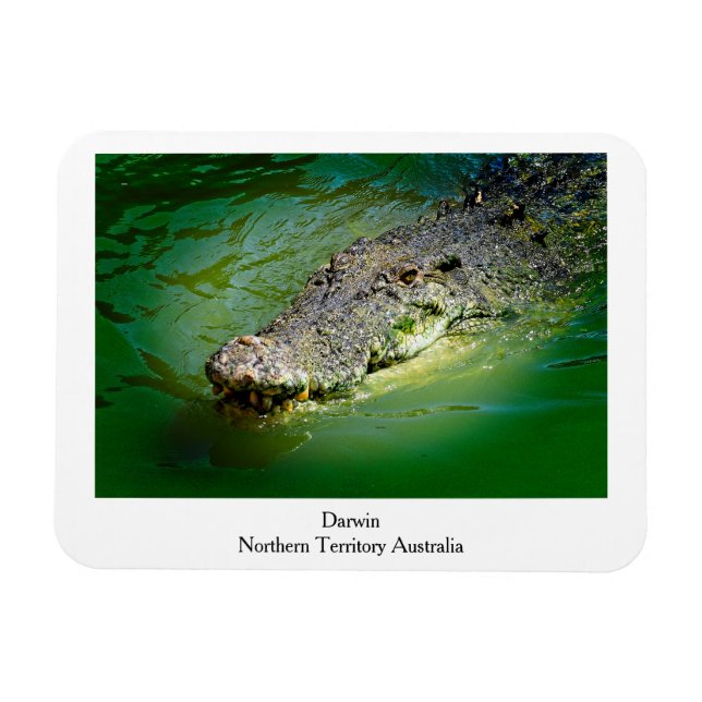 Darwin Northern Territory - Crokodile Magnet (Horisontell)