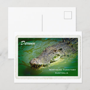 Darwin Northern Territory - Crokodile Postcard Helg Vykort