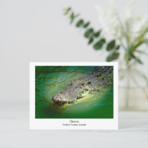Darwin Northern Territory - Crokodile Postcard