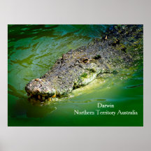 Darwin Northern Territory - Crokodile Poster