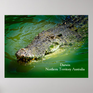 Darwin Northern Territory - Crokodile Poster