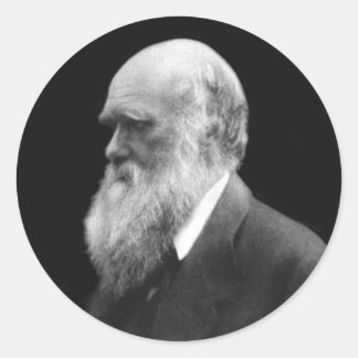 Darwin Porträtt Round Stickers Runt Klistermärke