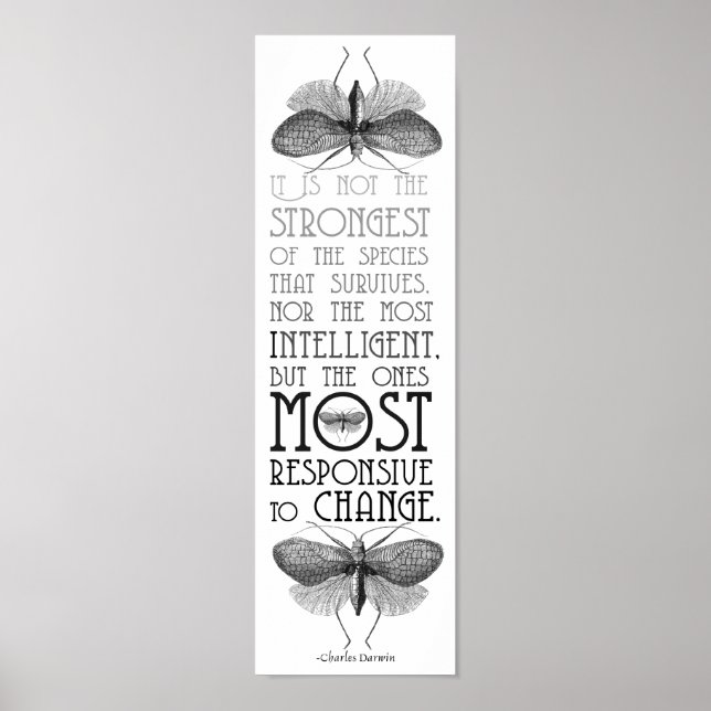 Darwin Quote Evolution Poster (Framsidan)