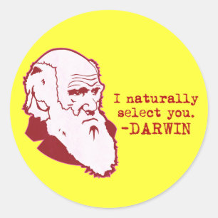 Darwin Runt Klistermärke