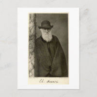 Darwin stod bredvid en pelare, publicerad 1908