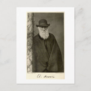 Darwin stod bredvid en pelare, publicerad 1908 vykort